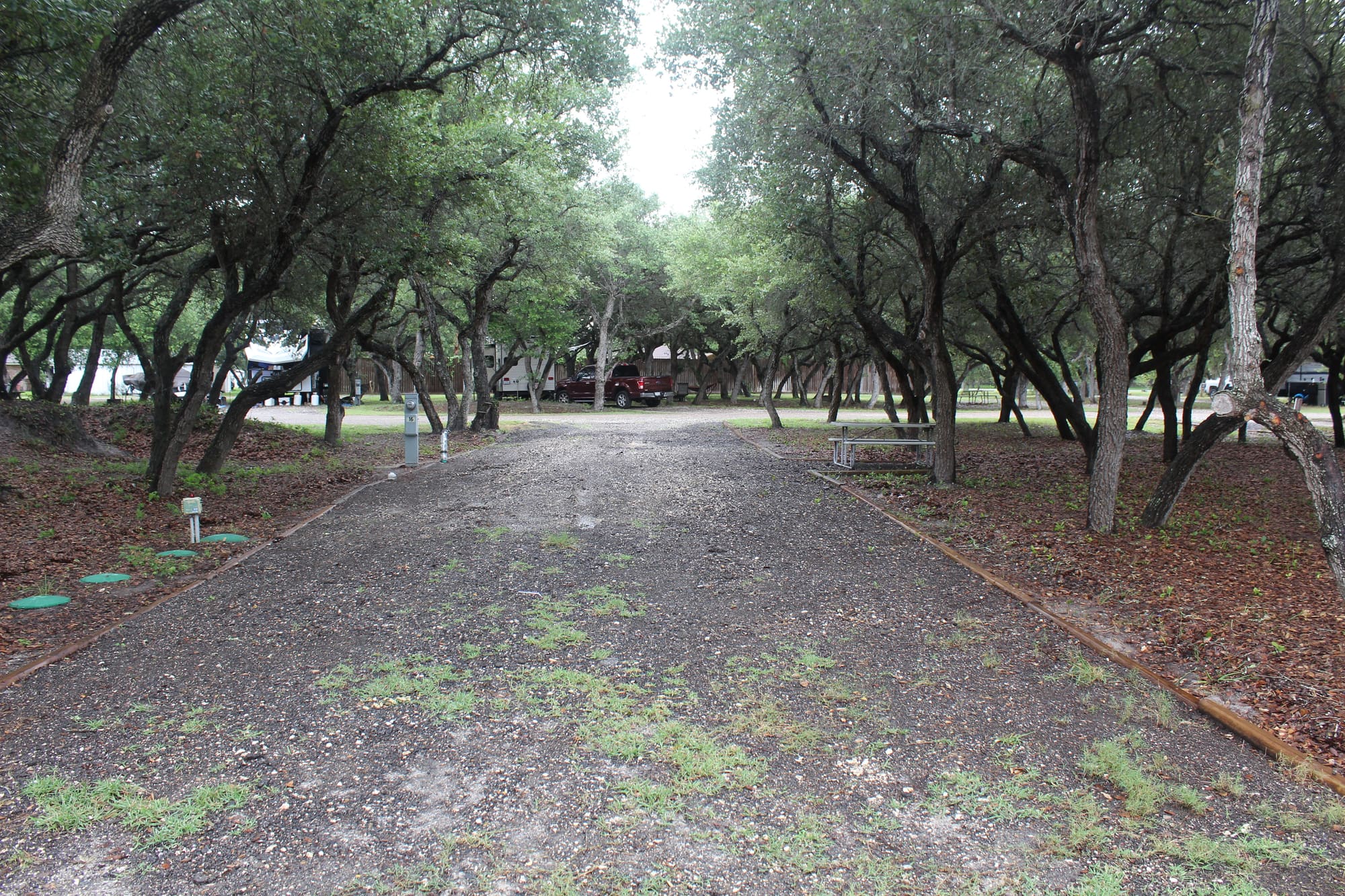 RV site road under a dense live oak canopy at New Season RV Resort, Aransas Pass TX